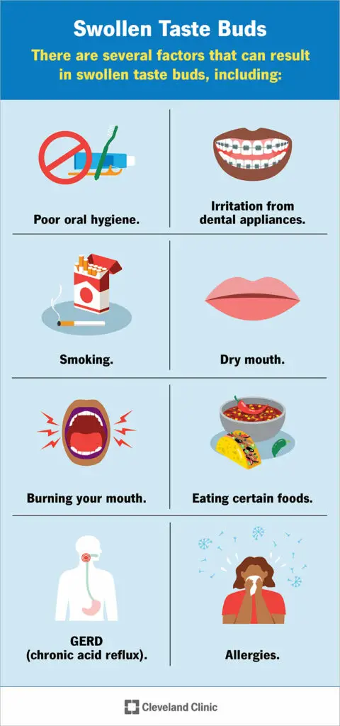 24544 swollen taste buds