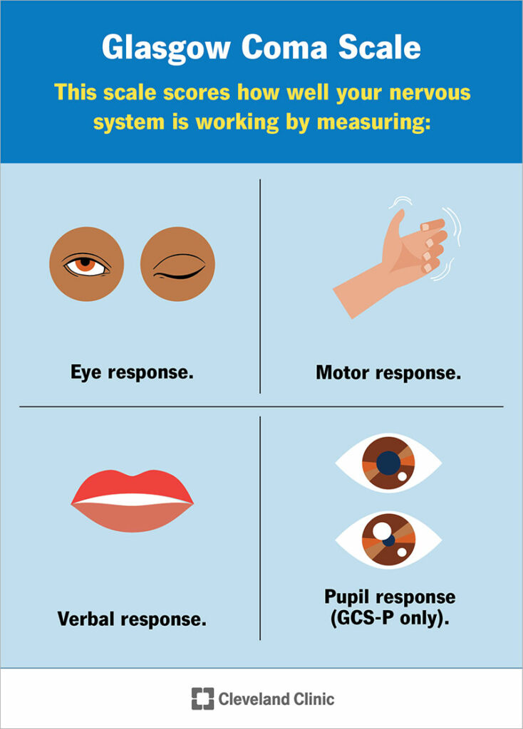 24848 glasgow coma scale