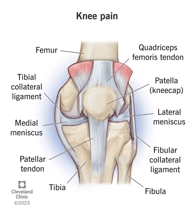 knee pain