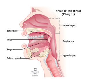 12180 oropharyngeal cancer