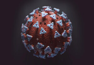 21214 coronavirus covid 19