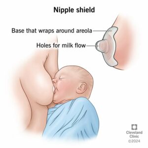 22130 nipple shield