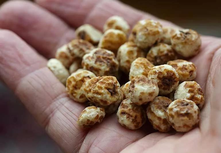 Tiger Nuts 1140417212 770x533 1 jpg