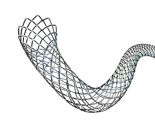 Endotex miego arterijos stentas