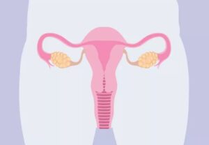 pcos uterusOvaries 1169701391 770x533 1 jpg