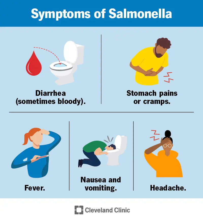 15697 salmonella