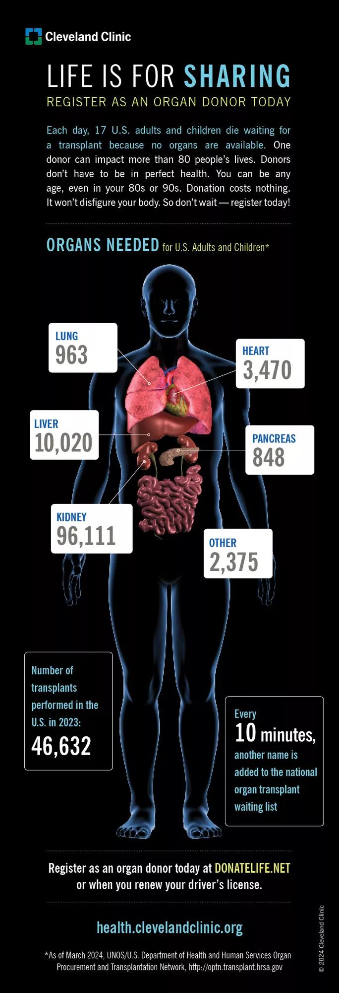 Organų donorystės infografija