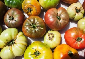 HeirloomTomatoPeachSalad 574141471 770x533 1 jpg