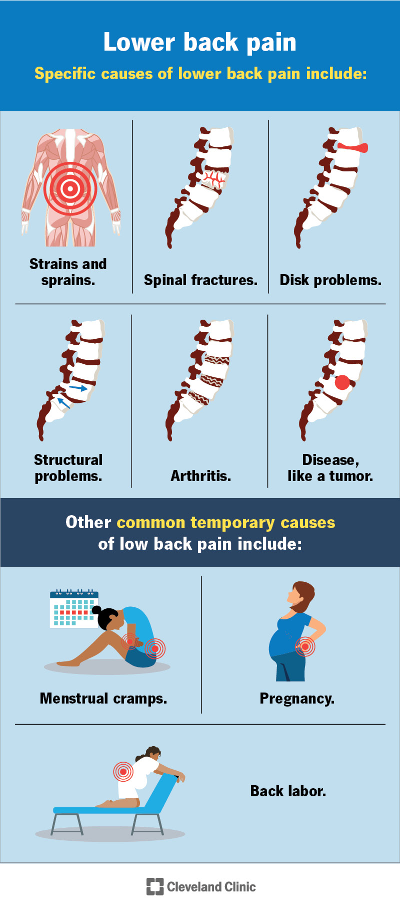 7936 lower back pain