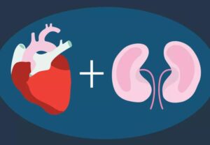 heartKidneyConnection 1068870068 770x533 1 jpg