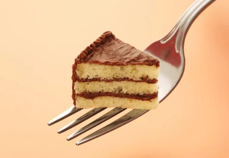 foodShamecakeFork 182369951 jpg