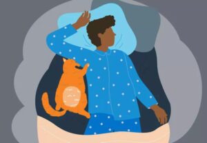 sleep bed cat 1400145982 770x533 1 jpg